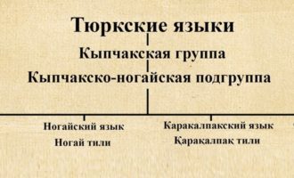 Татарский и казахский языки