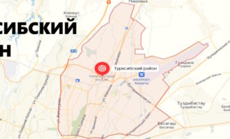 Турксибский район